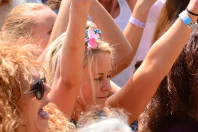 DSC_2061 (Large).JPG